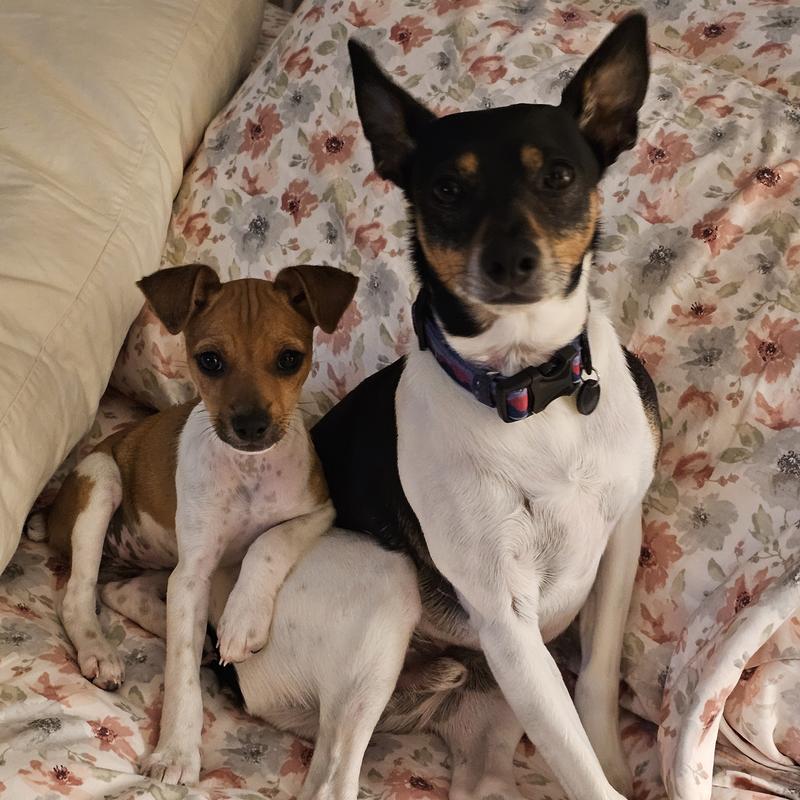 Butterbean Betty and Mr. Pickles.