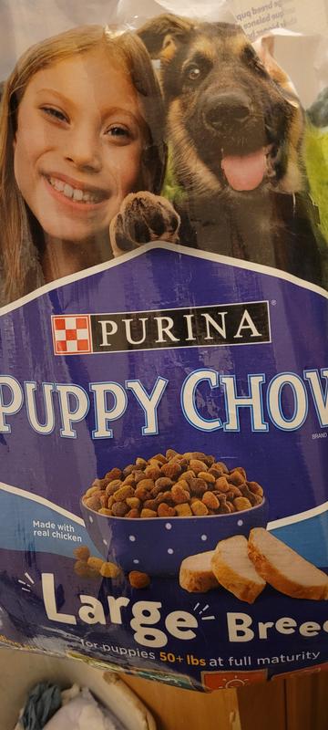 Puppy sales chow review