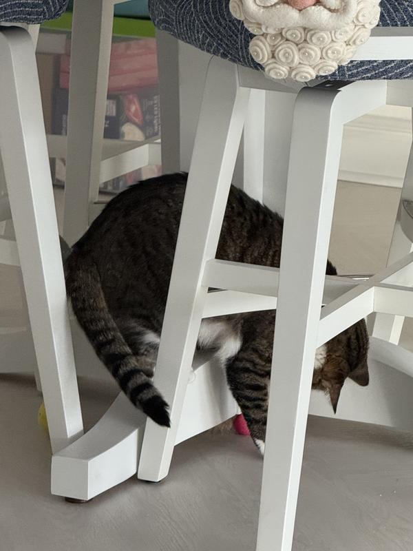 Dot's Determined and living these!