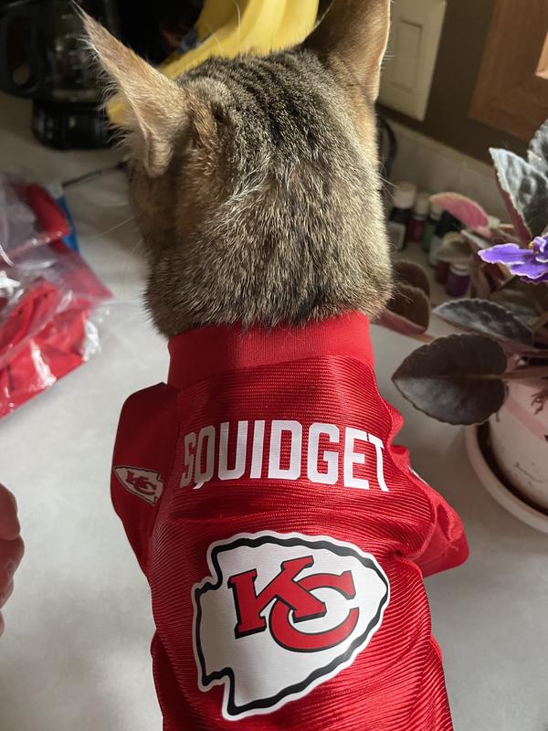 Littlearth NFL Pet Jersey - Sports Jersey Designed for Dogs and Cats, Team  Color Kansas City Chiefs L (Neck: 14, Girth: 20-25, Back: 15)