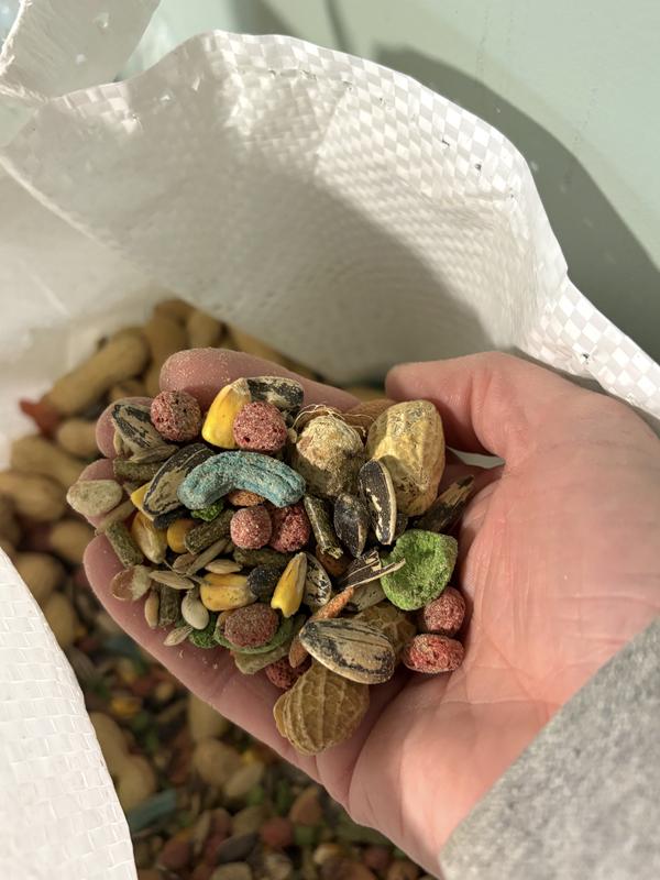 you can see the artificial colorings in here