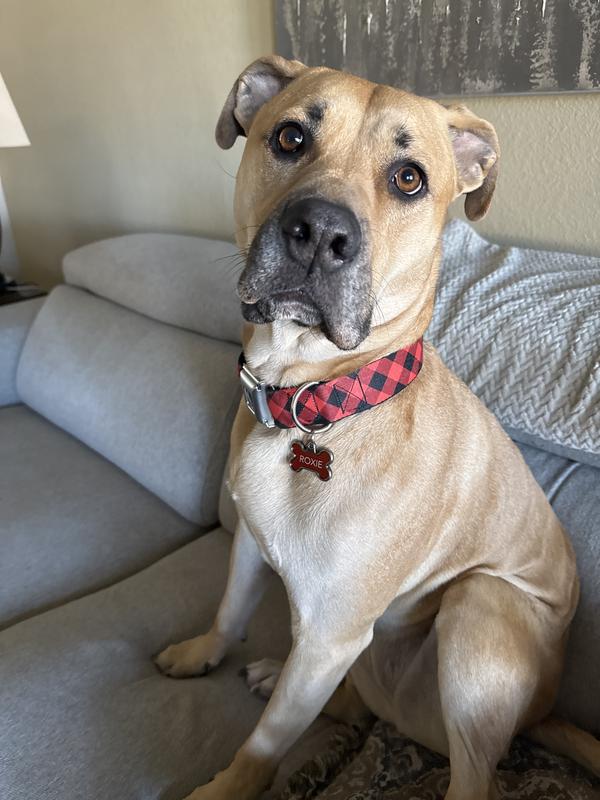 Ready for that walk now!