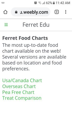 Intune ferret food hotsell