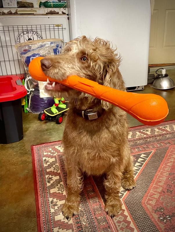 KONG SqueakStix Dog Toy, Large