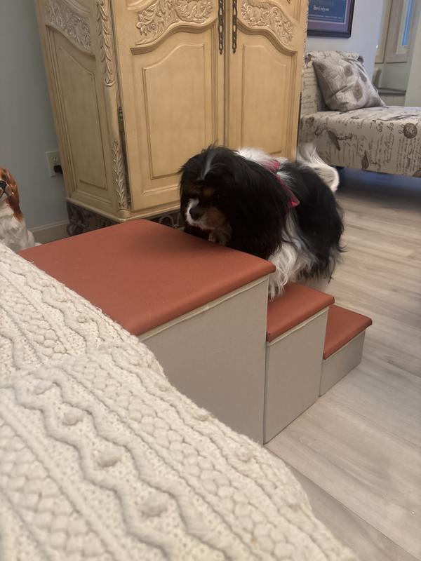 Danny can easily navigate these steps!