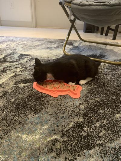 Petstages Fishie Fun Feed Mat Cat Slow Feeder, Pink, One-Size