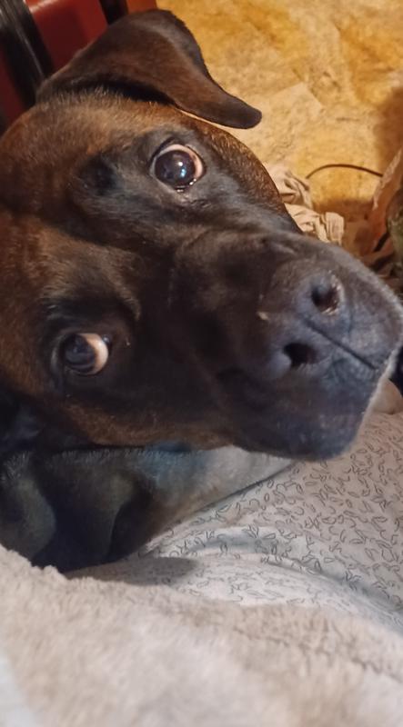 But I love to run free