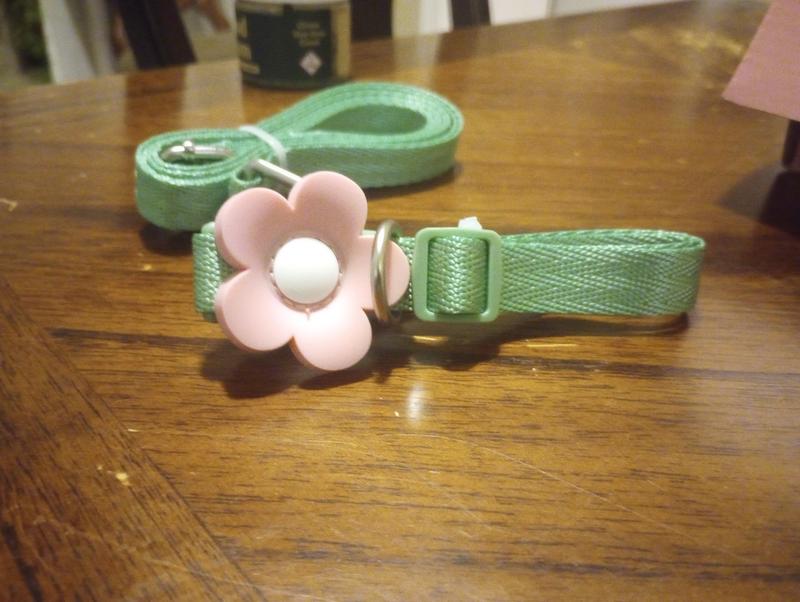 The collar flower is easy to clean plastic so it doesn't get gross when he walks through puddles.