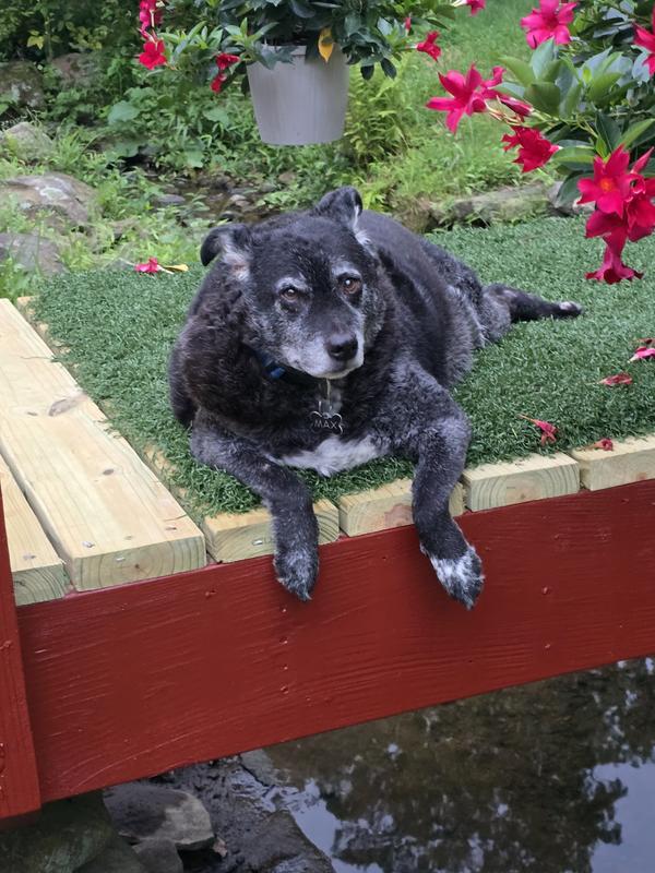 Max