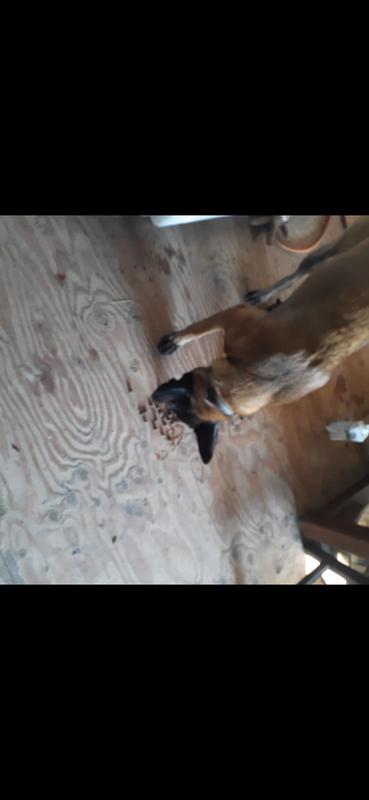 Thea wants to eat the whole bag 5 stars