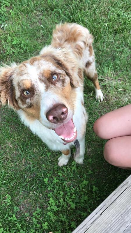 His nose after the balm