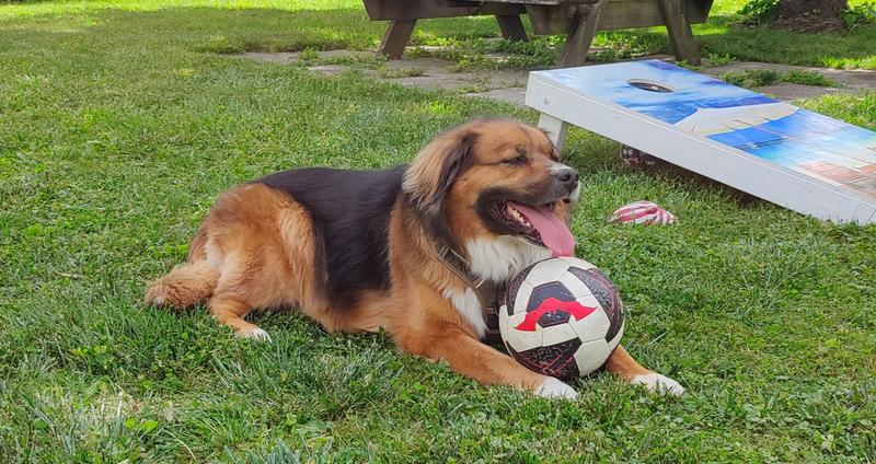 Messi got nothing on Carson!