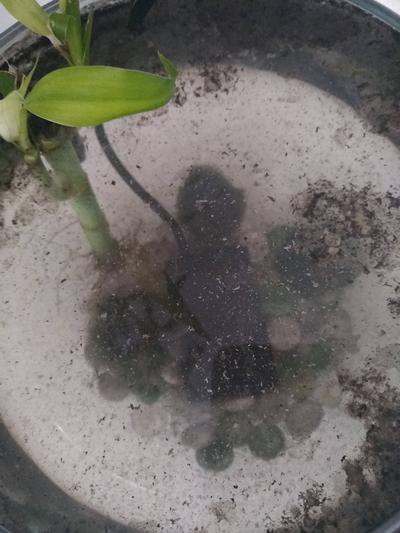 Heater Blew up - Utter Devastation