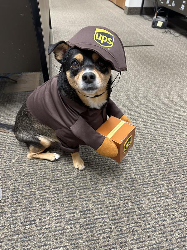CALIFORNIA COSTUMES UPS Delivery Driver Dog & Cat Costume, XSmall