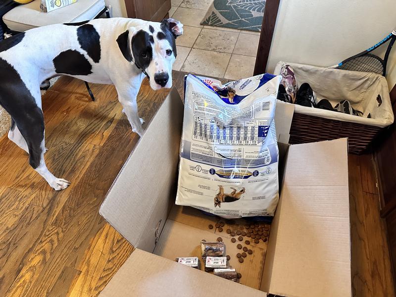 Bones thrown loose in box creates unintended messes, not that he cares
