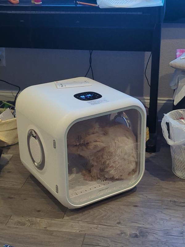 HOMERUNPET Drybo Plus Dog, Cat & Small Pet Dryer Box, White