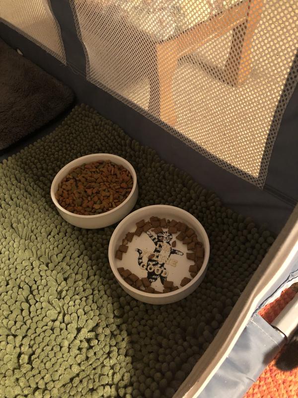 The treat bowl is always empty!