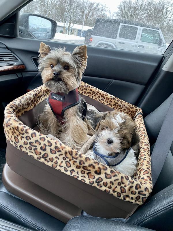 Pet Gear Dog & Cat Bucket Seat Booster