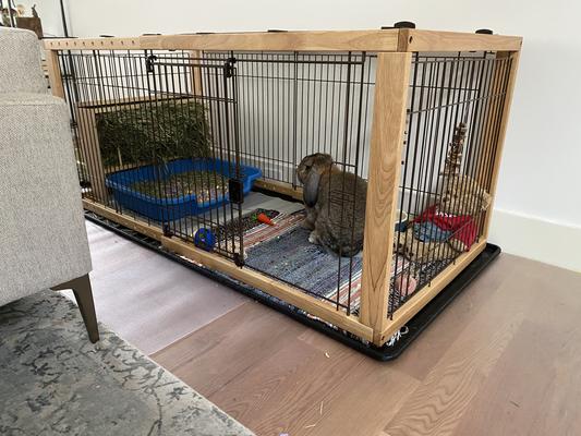 Expandable dog outlet crates