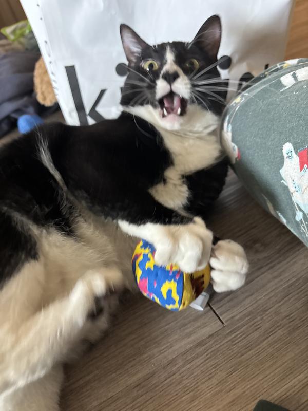 Here's a pic of Randy going crazyy