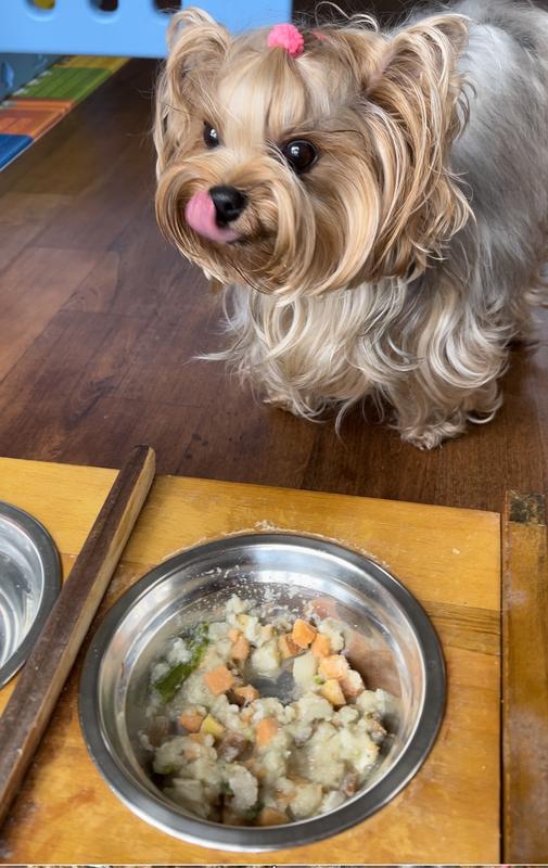 JUSTFOODFORDOGS Fish & Sweet Potato Recipe Frozen HumanGrade Fresh Dog