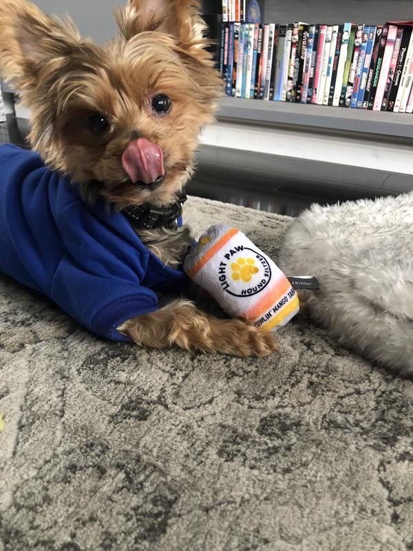 Enjoying His Mango Light Paw - Perfect Size for Him.