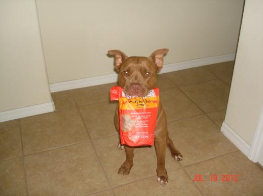 As I said he loves his Chewy's