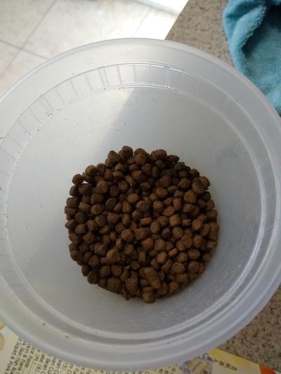 amazon stella and chewy duk duck goose cat food Duck Duck Goose Freeze Dried Raw Cat Food: High Protein, Grain Free Cat & Kitten Food main image 0