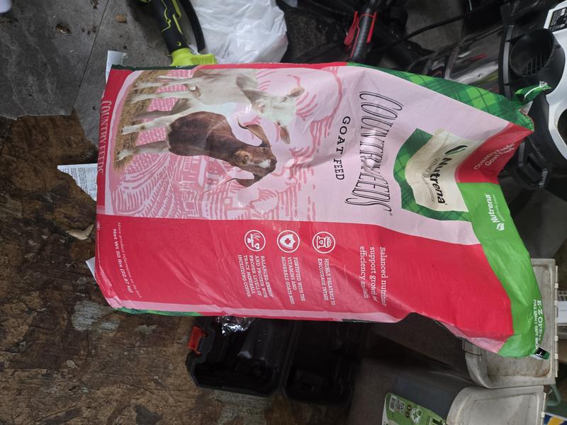 NUTRENA Country Feeds 16% Pellet Goat Feed, 50-lb bag - Chewy.com