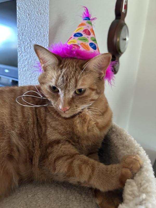 1st Birthday
