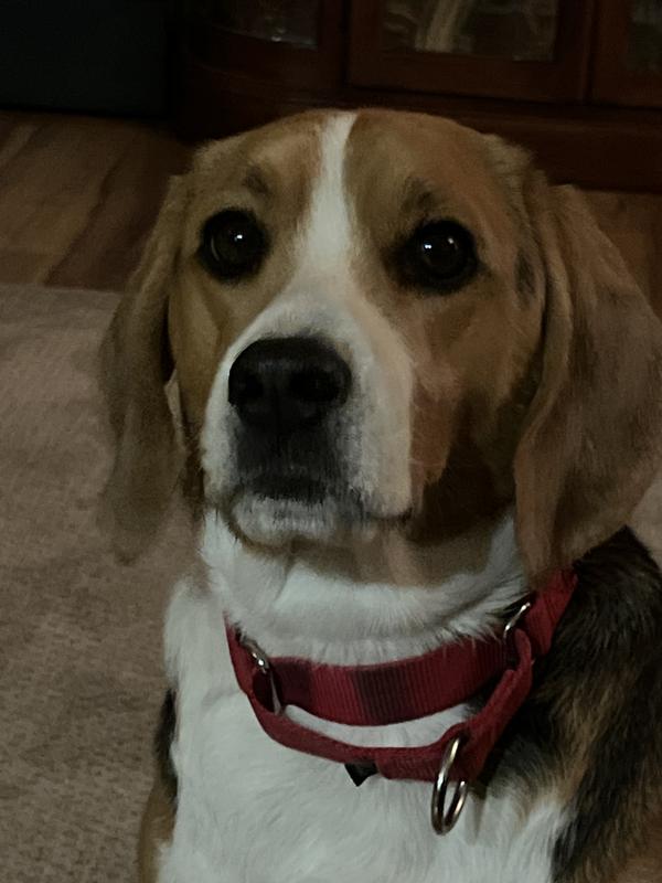 “I want more!”