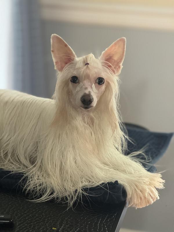 This is in the middle of process , how I applied the cream