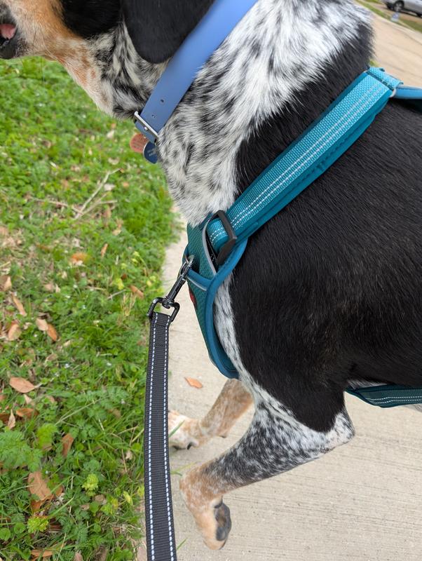 Love the blue on my boy!