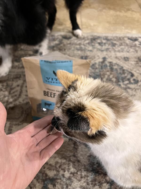 Kitty likes them too.