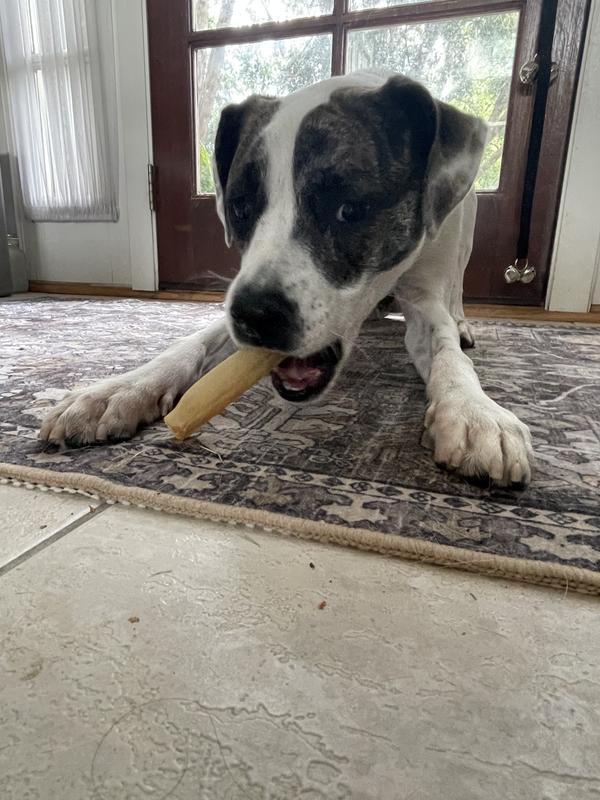 Long lasting enjoyment