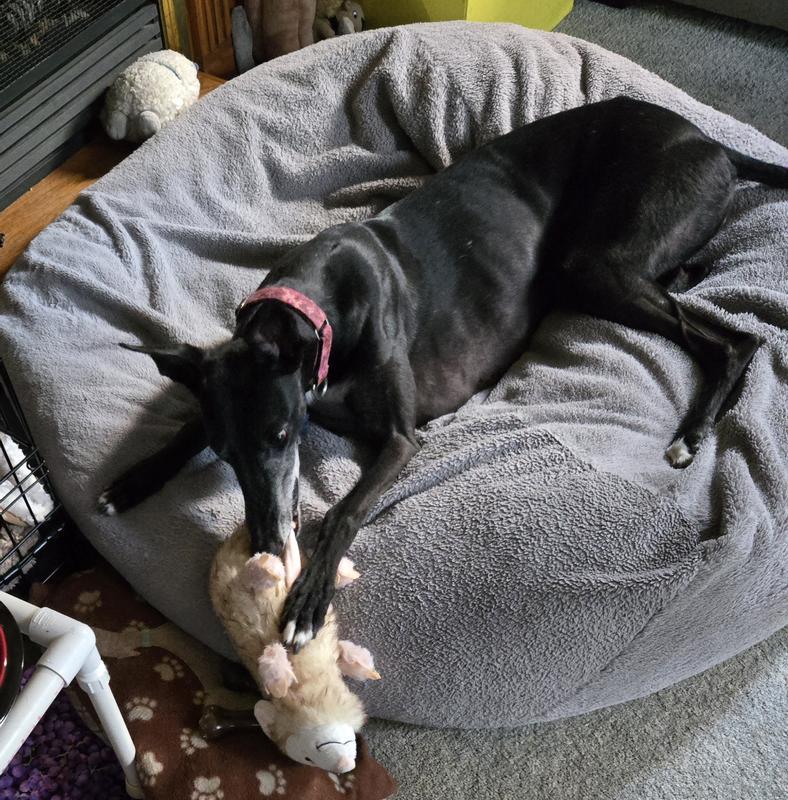 This possum is her favorite stuffie.