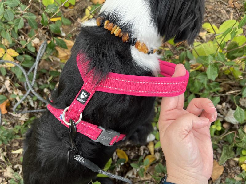 Hurtta Casual Eco Dog Harness Y-harness Size Guide Hurtta Casual Y