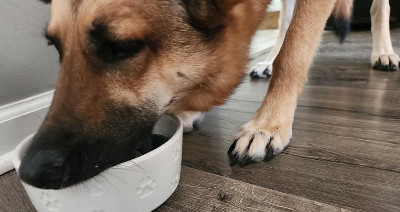 Gotta get every last bit!