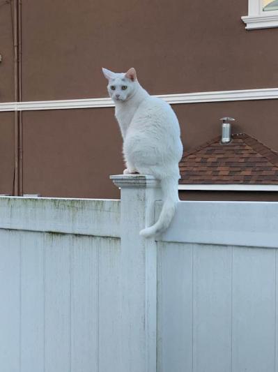 SNO KEEPING WATCH