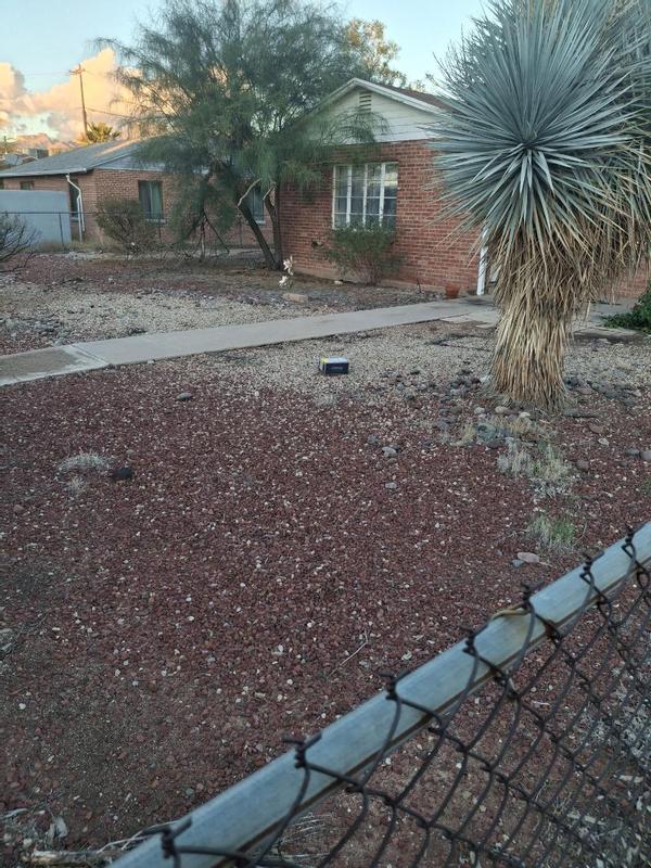 This one was clearly thrown into the yard