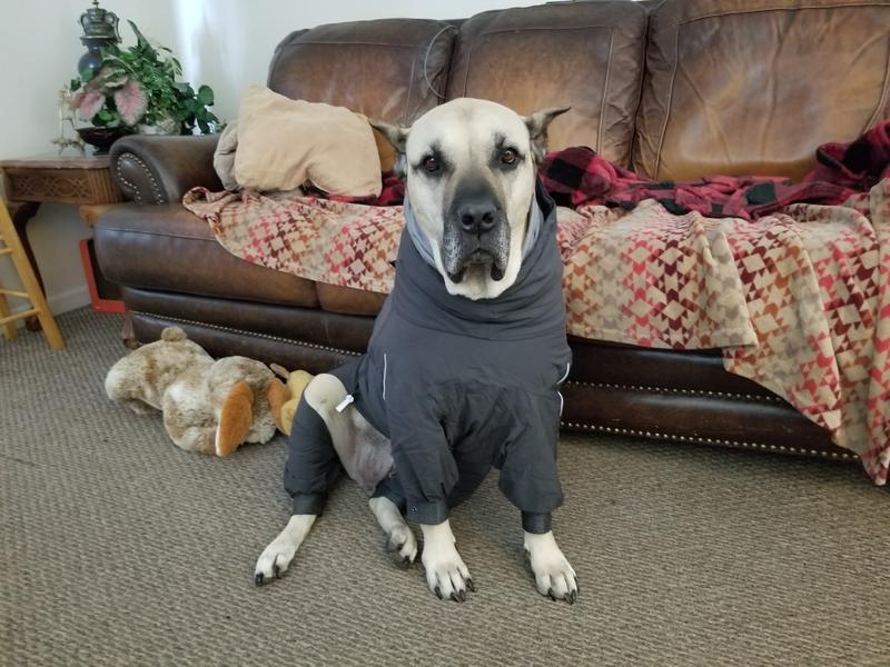 Hurtta Extreme Overall Insulated Dog Snowsuit, Blackberry