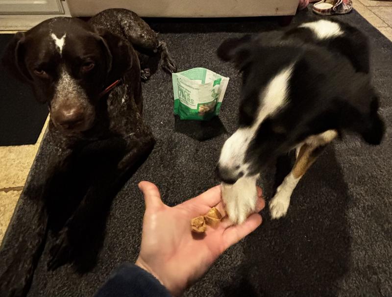 All the tricks for treats