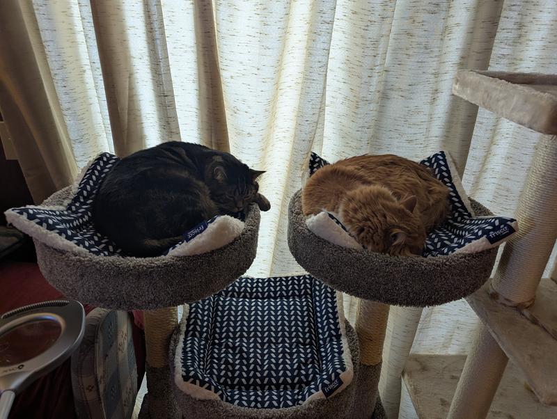 This is currently how I am using the mats.