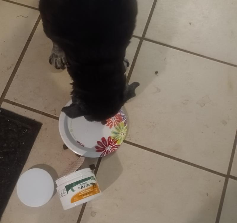 Cheech checking Vet's Best