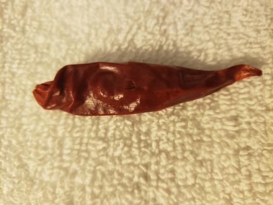 A dried chili pepper