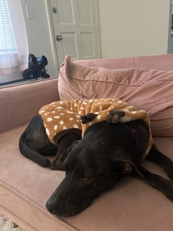 Frisco Reindeer Dog & Cat Hooded Plush Fleece PJs