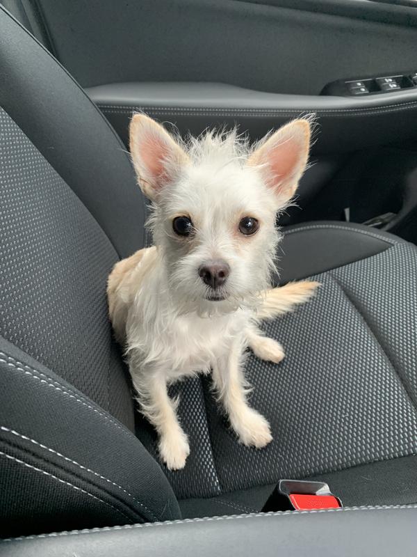 She is so devoted to her family! A