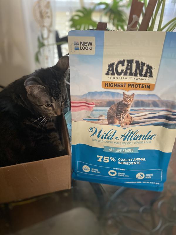 Acana regionals wild atlantic dry cat food hotsell