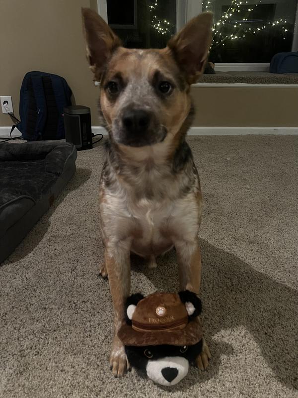 Perrin with Bear Bear