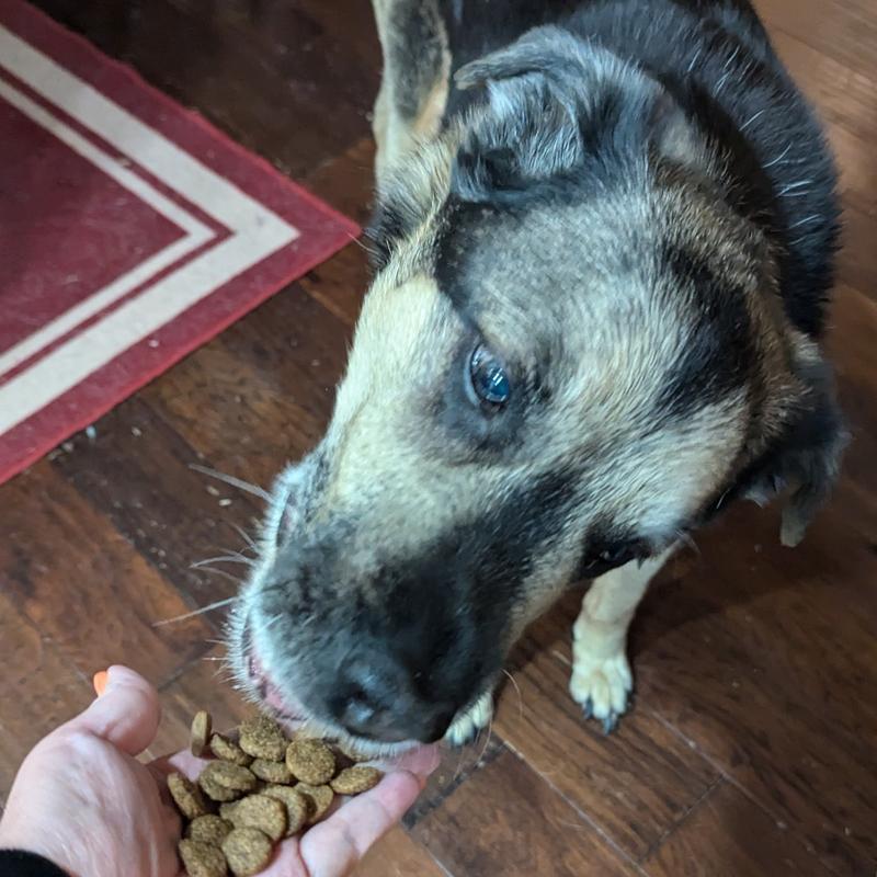 Hmm, smells OK let me taste